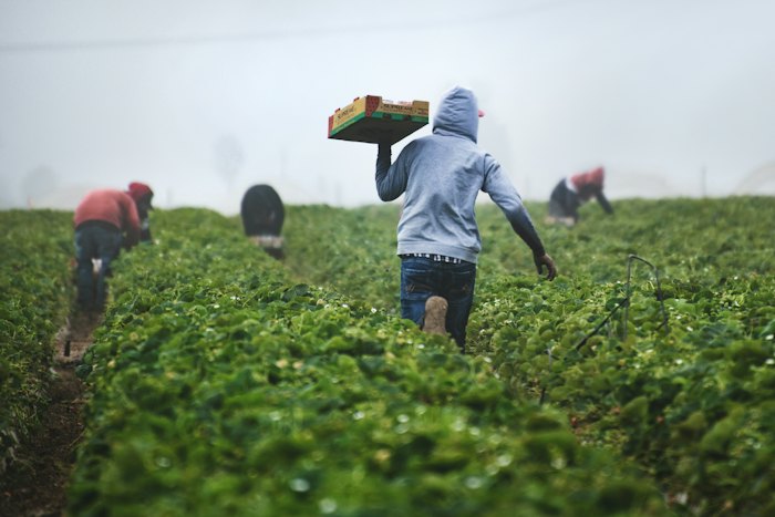 Agroalimentario